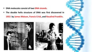 DNA replication .pptx