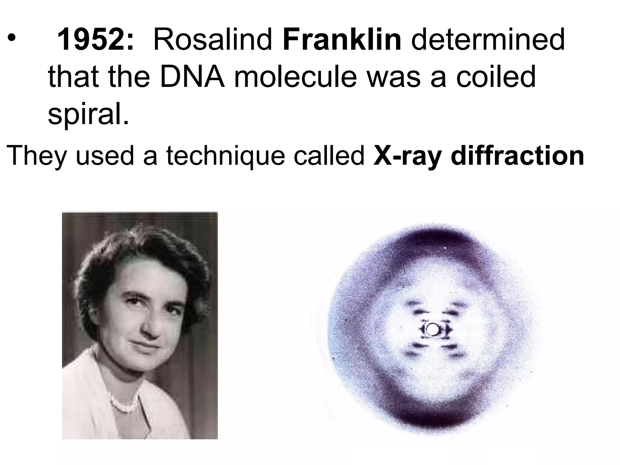 1952:   Rosalind  Franklin  determined that the DNA molecule was a coiled spiral.  They used a technique called  X-ray diffraction 