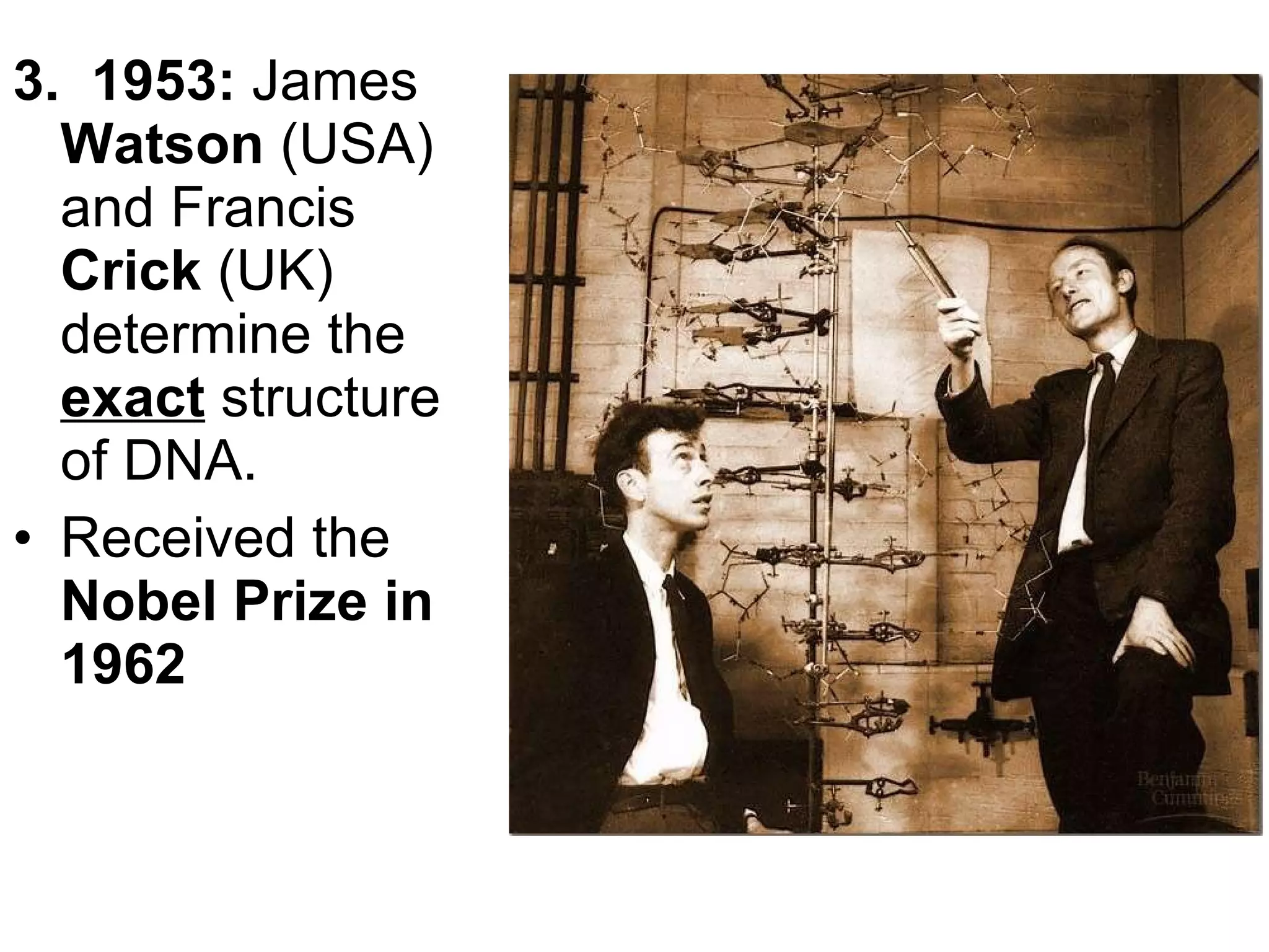 3.   1953:  James  Watson  (USA) and Francis  Crick  (UK) determine the  exact  structure of DNA. Received the  Nobel Prize in 1962 