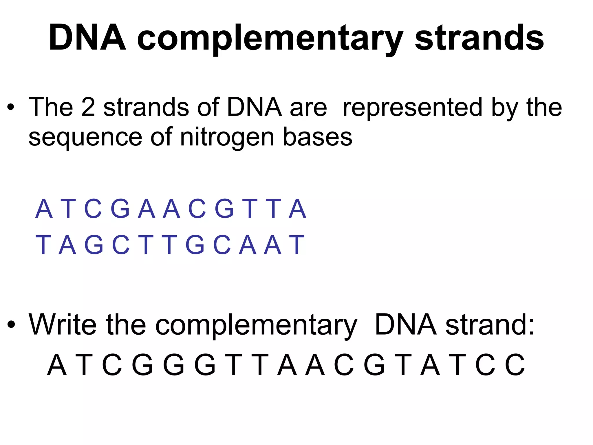 DNA complementary strands The 2 strands of DNA are  represented by the sequence of nitrogen bases A T C G A A C G T T A T A G C T T G C A A T Write the complementary  DNA strand: A T C G G G T T A A C G T A T C C  