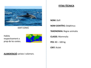 FITXA TÈCNICA




                                  NOM: Dofí

                                  NOM CIENTÍFIC: Dolphinus
               DOFÍ COMÚ
                                  TAXONOMIA: Regne animalia

Habita                            CLASSE: Mammalia
respectivament a
prop de les costes.               PES: 80 – 100 kg

                                  CRIT: Xiulet

ALIMENTACIÓ: peixos i calamars.
 