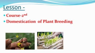 Lesson -
 Course-2nd
 Domestication of Plant Breeding
 
