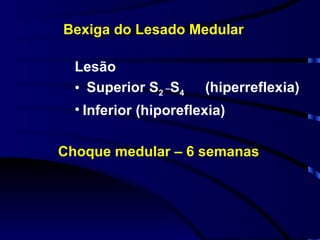 Bexiga do Lesado Medular Lesão Superior S 2  _ S 4  (hiperreflexia) Inferior (hiporeflexia) Choque medular – 6 semanas 