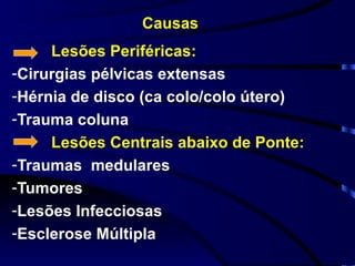 Causas Lesões Periféricas: Cirurgias pélvicas extensas Hérnia de disco (ca colo/colo útero) Trauma coluna Lesões Centrais abaixo de Ponte: Traumas  medulares Tumores Lesões Infecciosas Esclerose Múltipla 