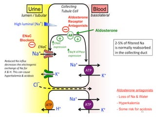 Comprehensive Overview of Drugs Acting on the Kidney and Their ...