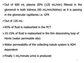 Comprehensive Overview of Drugs Acting on the Kidney and Their ...