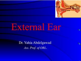 External Ear
Dr. Yahia Abdelgawad
Ass. Prof. of ORL.
 