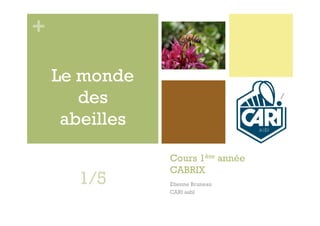 +

    Le monde
       des
     abeilles

                Cours 1ère année
                CABRIX
      1/5       Etienne Bruneau
                CARI asbl
 