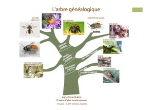 Anthidium manicatum

                          John Severns

                                                         Fir0002
                                         Richard Bartz
Didier Descouens                                                            insectopia

Osmie cornue




                                                                            ©entomart
         ©entomart



     Eumenes pomiformis
                                                              H. Dumas




    ©entomart

                                                                   Quarti
 