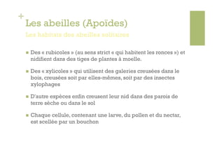 +
    Les abeilles (Apoïdes)
    Les habitats des abeilles solitaires

        Des « rubicoles » (au sens strict « qui habitent les ronces ») et
         nidifient dans des tiges de plantes à moelle.

        Des « xylicoles » qui utilisent des galeries creusées dans le
         bois, creusées soit par elles-mêmes, soit par des insectes
         xylophages

        D'autre espèces enfin creusent leur nid dans des parois de
         terre sèche ou dans le sol

        Chaque cellule, contenant une larve, du pollen et du nectar,
         est scellée par un bouchon
 