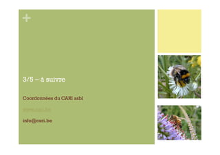 +



3/5 – à suivre

Coordonnées du CARI asbl

www.cari.be

info@cari.be
 