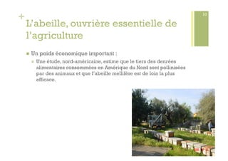 +                                                                              10

    L’abeille, ouvrière essentielle de
    l’agriculture
        Un poids économique important :
             Une étude, nord-américaine, estime que le tiers des denrées
              alimentaires consommées en Amérique du Nord sont pollinisées
              par des animaux et que l’abeille mellifère est de loin la plus
              efficace.
 