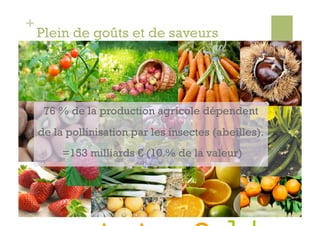 +
    Plein de goûts et de saveurs




     76 % de la production agricole dépendent
    de la pollinisation par les insectes (abeilles).
         =153 milliards € (10 % de la valeur)
 