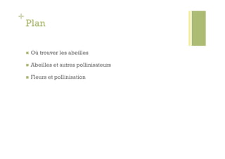 +
    Plan

        Où trouver les abeilles

        Abeilles et autres pollinisateurs

        Fleurs et pollinisation
 