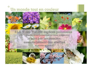 +
    Un monde tout en couleur




      87,5 % des 352.000 espèces pollinisées
        (78 % des espèces présentes en zone tempérée)
              le sont par les insectes,
            essentiellement des abeilles
                      et autres animaux.
 