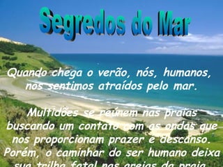 Segredos do Mar Quando chega o verão, nós, humanos,  nos sentimos atraídos pelo mar. Multidões se reúnem nas praias buscando um contato com as ondas que nos proporcionam prazer e descanso. Porém, o caminhar do ser humano deixa sua trilha fatal nas areias da praia. 