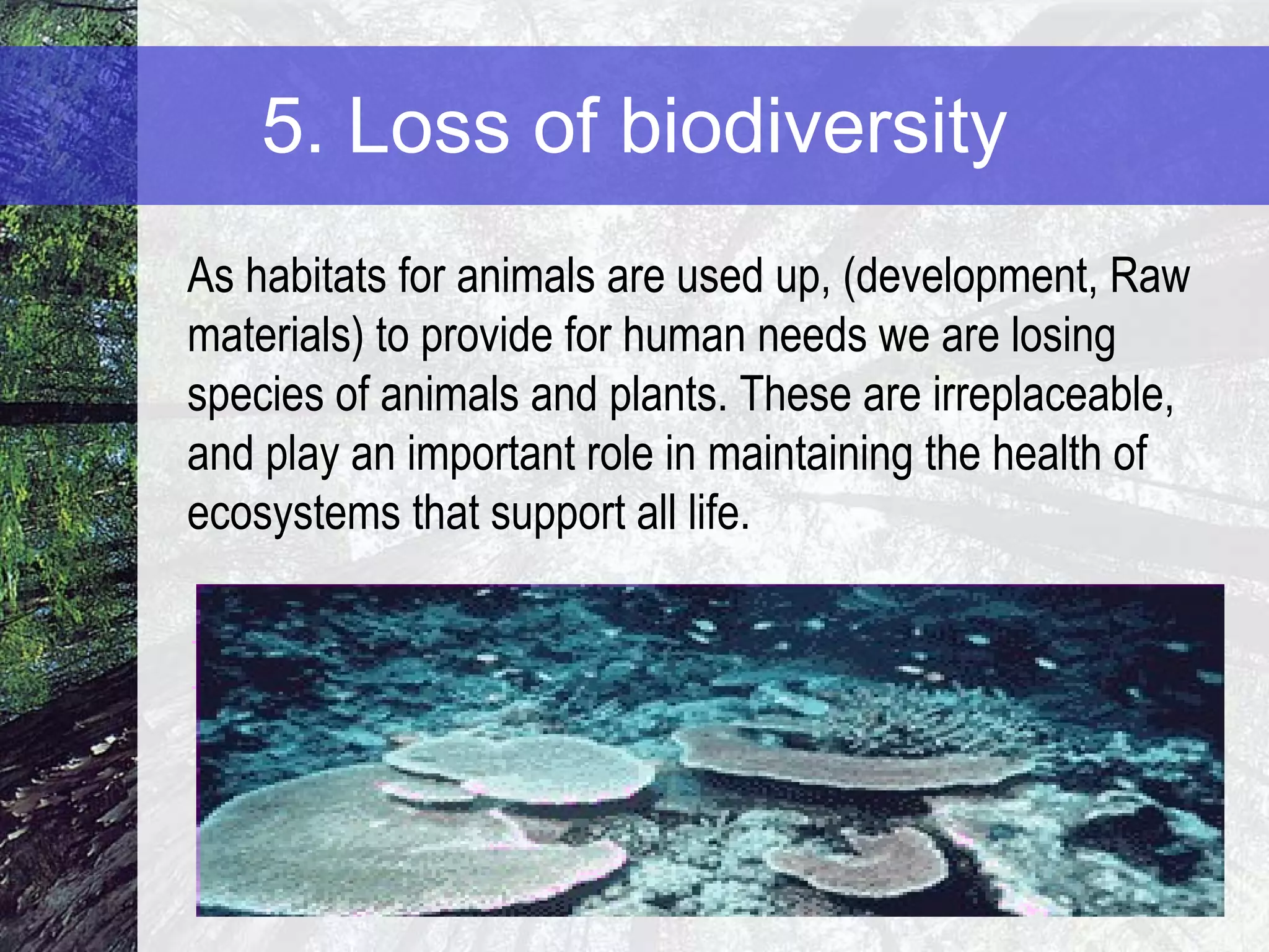 5. Loss of biodiversity As habitats for animals are used up, (development, Raw materials) to provide for human needs we are losing species of animals and plants. These are irreplaceable, and play an important role in maintaining the health of ecosystems that support all life. 