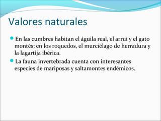 Valores naturales
En las cumbres habitan el águila real, el arruí y el gato
montés; en los roquedos, el murciélago de herradura y
la lagartija ibérica.
La fauna invertebrada cuenta con interesantes
especies de mariposas y saltamontes endémicos.
 