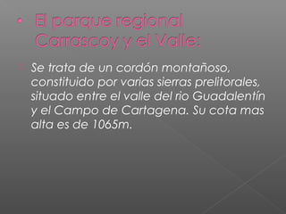  Se trata de un cordón montañoso,
constituido por varias sierras prelitorales,
situado entre el valle del rio Guadalentín
y el Campo de Cartagena. Su cota mas
alta es de 1065m.
 