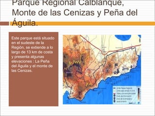 Parque Regional Calblanque,
Monte de las Cenizas y Peña del
Águila.
Este parque está situado
en el sudeste de la
Región, se extiende a lo
largo de 13 km de costa
y presenta algunas
elevaciones : La Peña
del Águila y el monte de
las Cenizas.
 