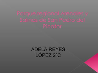 ADELA REYES
LÓPEZ 2ºC
 