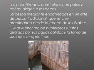  Las encañizadas, construidas con palos y
cañas, dirigen a los peces.
 La pesca mediante encañizadas en un arte
de pesca tradicional, que se vive
practicando desde la época de los árabes.
 El Mar Menor recibe numerosos turistas
atraídos por sus aguas cálidas y la fama de
sus lados terapéuticos.
 