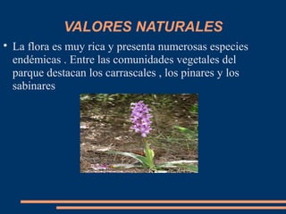 VALORES NATURALES

La flora es muy rica y presenta numerosas especies
endémicas . Entre las comunidades vegetales del
parque destacan los carrascales , los pinares y los
sabinares
 
