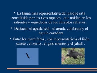 
La fauna mas representativa del parque esta
constituida por las aves rapaces , que anidan en los
salientes y oquedades de los abruptos relieves .

Destacan el águila real , el águila culebrera y el
águila cazadora

Entre los mamíferos , son representativos el lirón
careto , el zorro , el gato montes y el jabalí .
 
