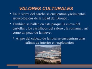VALORES CULTURALES

En la sierra del carche se encuentran yacimientos
arqueológicos de la Edad del Bronce .

También se hallan en este parque la cueva del
castellar , los castillicos del salero , la romania , así
como un pozo de la nieve .

Al pie del cabezo de la rosa se encuentran unas
salinas de interior en explotación .
 