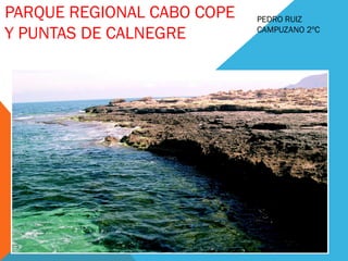 PEDRO RUIZ
CAMPUZANO 2ºC
PARQUE REGIONAL CABO COPE
Y PUNTAS DE CALNEGRE
 