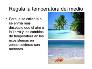 Regula la temperatura del medio
• Porque se calienta o
se enfría más
despacio que el aire o
la tierra y los cambios
de temperatura en los
ecosistemas en
zonas costeras son
menores.
 