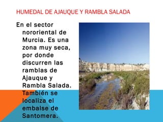 HUMEDAL DE AJAUQUE Y RAMBLA SALADA
En el sector
nororiental de
Murcia. Es una
zona muy seca,
por donde
discurren las
ramblas de
Ajauque y
Rambla Salada.
También se
localiza el
embalse de
Santomera.
 