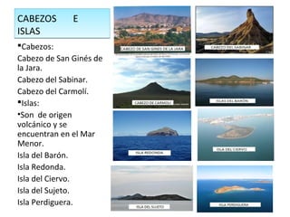 CABEZOS E
ISLAS
CABEZOS E
ISLAS
Cabezos:
Cabezo de San Ginés de
la Jara.
Cabezo del Sabinar.
Cabezo del Carmolí.
Islas:
•Son de origen
volcánico y se
encuentran en el Mar
Menor.
Isla del Barón.
Isla Redonda.
Isla del Ciervo.
Isla del Sujeto.
Isla Perdiguera.
 