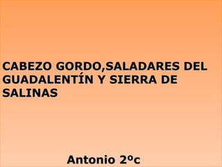 CABEZO GORDO,SALADARES DELCABEZO GORDO,SALADARES DEL
GUADALENTÍN Y SIERRA DEGUADALENTÍN Y SIERRA DE
SALINASSALINAS
Antonio 2ºcAntonio 2ºc
CABEZO GORDO,SALADARES DELCABEZO GORDO,SALADARES DEL
GUADALENTÍN Y SIERRA DEGUADALENTÍN Y SIERRA DE
SALINASSALINAS
Antonio 2ºcAntonio 2ºc
 