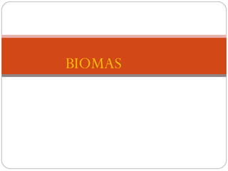 BIOMAS
 