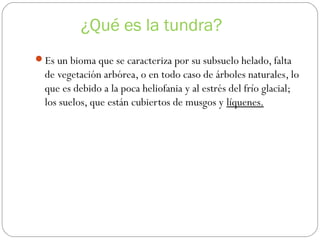 ¿Qué es la tundra?
Es un bioma que se caracteriza por su subsuelo helado, falta
de vegetación arbórea, o en todo caso de árboles naturales, lo
que es debido a la poca heliofania y al estrés del frío glacial;
los suelos, que están cubiertos de musgos y líquenes.
 