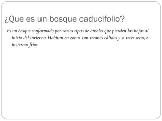 ¿Que es un bosque caducifolio?
Es un bosque conformado por varios tipos de árboles que pierden las hojas al
inicio del invierno.Habitan en zonas con veranos cálidos y a veces secos,e
inviernos fríos.
 