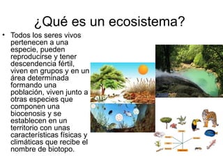 ¿Qué es un ecosistema?
• Todos los seres vivos
pertenecen a una
especie, pueden
reproducirse y tener
descendencia fértil,
viven en grupos y en un
área determinada
formando una
población, viven junto a
otras especies que
componen una
biocenosis y se
establecen en un
territorio con unas
características físicas y
climáticas que recibe el
nombre de biotopo.
 