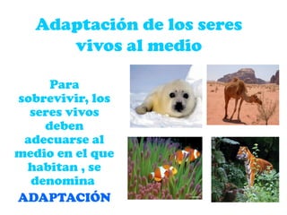Adaptación de los seres
vivos al medio
Para
sobrevivir, los
seres vivos
deben
adecuarse al
medio en el que
habitan , se
denomina
ADAPTACIÓN
 
