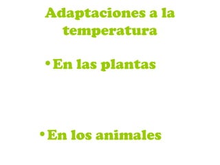 Adaptaciones a la
temperatura
•En las plantas
•En los animales
 