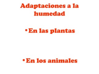 Adaptaciones a la
humedad
•En las plantas
•En los animales
 