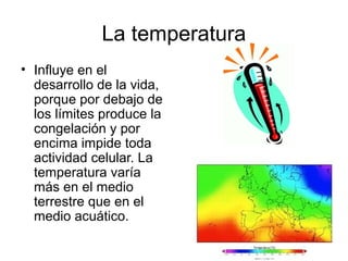 La temperatura
• Influye en el
desarrollo de la vida,
porque por debajo de
los límites produce la
congelación y por
encima impide toda
actividad celular. La
temperatura varía
más en el medio
terrestre que en el
medio acuático.
 