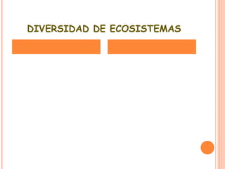 DIVERSIDAD DE ECOSISTEMAS
 