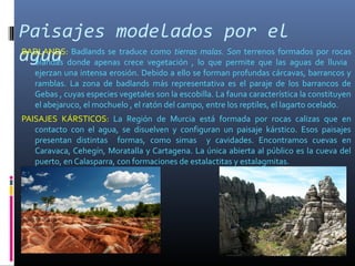 Paisajes modelados por el
aguaBADLANDS: Badlands se traduce como tierras malas. Son terrenos formados por rocas
blandas donde apenas crece vegetación , lo que permite que las aguas de lluvia
ejerzan una intensa erosión. Debido a ello se forman profundas cárcavas, barrancos y
ramblas. La zona de badlands más representativa es el paraje de los barrancos de
Gebas , cuyas especies vegetales son la escobilla. La fauna característica la constituyen
el abejaruco, el mochuelo , el ratón del campo, entre los reptiles, el lagarto ocelado.
PAISAJES KÁRSTICOS: La Región de Murcia está formada por rocas calizas que en
contacto con el agua, se disuelven y configuran un paisaje kárstico. Esos paisajes
presentan distintas formas, como simas y cavidades. Encontramos cuevas en
Caravaca, Cehegín, Moratalla y Cartagena. La única abierta al público es la cueva del
puerto, en Calasparra, con formaciones de estalactitas y estalagmitas.
 