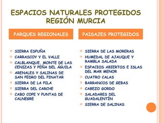 ESPACIOS NATURALES PROTEGIDOS
REGIÓN MURCIA
 SIERRA ESPUÑA
 CARRASCOY Y EL VALLE
 CALBLANQUE, MONTE DE LAS
CENIZAS Y PEÑA DEL ÁGUILA
 ARENALES Y SALINAS DE
SAN PEDRO DEL PINATAR
 SIERRA DE LA PILA
 SIERRA DEL CARCHE
 CABO COPE Y PUNTAS DE
CALNEGRE
 SIERRA DE LAS MORERAS
 HUMEDAL DE AJAUQUE Y
RAMBLA SALADA
 ESPACIOS ABIERTOS E ISLAS
DEL MAR MENOR
 CUATRO CALAS
 BARRANCOS DE GEBAS
 CABEZO GORDO
 SALADARES DEL
GUADALENTÍN
 SIERRA DE SALINAS
PARQUES REGIONALES PAISAJES PROTEGIDOS
 