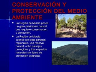 CONSERVACIÓN YCONSERVACIÓN Y
PROTECCIÓN DEL MEDIOPROTECCIÓN DEL MEDIO
AMBIENTEAMBIENTE
 La Región de Murcia poseeLa Región de Murcia posee
un gran patrimonio naturalun gran patrimonio natural
que requiere conservaciónque requiere conservación
y protección.y protección.
 La Región de MurciaLa Región de Murcia
cuenta con siete parquescuenta con siete parques
regionales, una reservaregionales, una reserva
natural, ocho paisajesnatural, ocho paisajes
protegidos y tres espaciosprotegidos y tres espacios
naturales sin figura denaturales sin figura de
protección asignada.protección asignada.
 