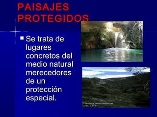 PAISAJESPAISAJES
PROTEGIDOSPROTEGIDOS
 Se trata deSe trata de
lugareslugares
concretos delconcretos del
medio naturalmedio natural
merecedoresmerecedores
de unde un
protecciónprotección
especial.especial.
 