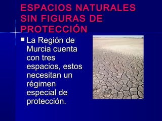 ESPACIOS NATURALESESPACIOS NATURALES
SIN FIGURAS DESIN FIGURAS DE
PROTECCIÓNPROTECCIÓN
 La Región deLa Región de
Murcia cuentaMurcia cuenta
con trescon tres
espacios, estosespacios, estos
necesitan unnecesitan un
régimenrégimen
especial deespecial de
protección.protección.
 