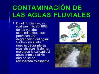 CONTAMINACIÓN DECONTAMINACIÓN DE
LAS AGUAS FLUVIALESLAS AGUAS FLUVIALES
 En el río Segura, seEn el río Segura, se
realizan más del 80%realizan más del 80%
de los vertidosde los vertidos
contaminantes, quecontaminantes, que
provocan unaprovocan una
degradación del agua.degradación del agua.
Se han instaladoSe han instalado
nuevas depuradorasnuevas depuradoras
más eficaces. Esto hamás eficaces. Esto ha
mejorado la calidad delmejorado la calidad del
agua, aunque el ríoagua, aunque el río
aún no se haaún no se ha
recuperado totalmente.recuperado totalmente.
 