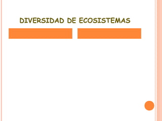 1 ecosistemas-cl
